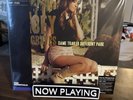 KACEY MUSGRAVES 