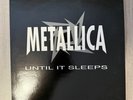 Metallica Promo Until It Sleeps French 10