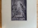 Bill Evans ‎– You Must Believe In Spring (2LPs - 45rpm) Craft Recordings
