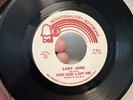 Mickey Dolenz & Davy Jones Monkees Lady Jane/Do It In Name Of Love PROMO RARE 45