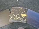 3x Isis Album Vinyl Panopticon, Wavering Radiant, Ocianic Ex Cond Records Lp