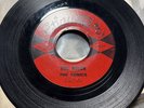 Garage Punk 7” 45 - The Sonics 