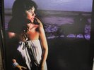 Linda Ronstadt Hasten Down the Wind MOFI 33RPM