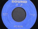 ROOSEVELT SYKES: she's jail bait / sputnik baby HOUSE OF SOUND 7