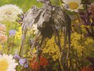 Current 93 - Swastikas For Noddy / Crooked Crosses 2LP (Purple & Green, 2015)