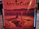 ALICE IN CHAINS DIRT VINYL LP RECORD NM/NM 90'S GRUNDGE BANGER BEAUTIFUL COPY