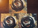 Nine Inch Nails - Closer 2XLP Further Away Closer To God Complete Set
