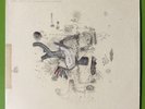 Frightened Rabbit ‎– The Midnight Organ Fight LP FatCat Indie Rock Vinyl 2014 NM