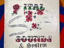 Dub Specialist – Ital Sounds & System Roots Reggae Vintage 12