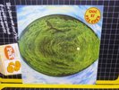 Mike Oldfield – Hergest Ridge 33 RPM, 12