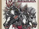 Cowpunk L.A. Vinyl LP Enigma 1st Press TEX AND THE HORSEHEADS 1984 Self-Titled