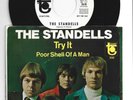 GARAGE FUZZ PUNK 45 w/ PIC SLEEVE - STANDELLS - TRY IT - HEAR -1967 PROMO TOWER