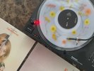Fake It Flowers by Beabadoobee Limited Flower filled LP Pre-Sale