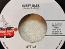 ATTILA AND THE HUNS 