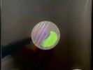 Graffiti - Roy Blair Vinyl