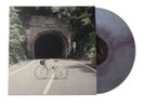 The Backseat Lovers When We Were Friends Galaxy Colored Vinyl LP Seam Split READ