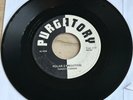 Purgatory -Polar Expedition- Ohio Private Psych Hard Rock 45 - Hear