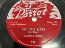 Albert King Parrot