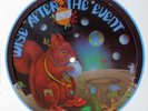 ANTHONY PHILLIPS  - Wise After The Event  LP Picture Disc - Unplayed - 1978