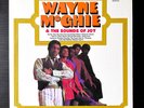 WAYNE MCGHIE & THE SOUNDS OF JOY - S/T LP - RARE Soul Funk LP