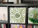 KACEY MUSGRAVES Deeper Into The Well LE 2LP Splatter Liquid Vinyl BAD WORLD