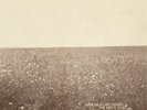 The Milk Carton Kids The Ash & Clay (Vinyl) 12