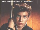SCOTT ENGEL--PICTURE SLEEVE + 45--(THE GOLDEN RULE)--PS--PIC--SLV