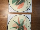 ALICE IN CHAINS The Devil Put Dinosaurs Here 2xLP Pic Disc Vinyl - 2013 Mint-