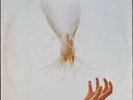 Strawbs - Hero And Heroine - LP