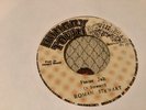 Roman Stewart , Praise Jah  , 7”Hungry.