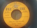 DELL-VIKINGS How Can I Find True Love/Come Go with Me Fee Bee FB-205   1958 VG+.