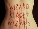 Wizard Bloody Wizard [LP] by Electric Wizard [VINYL]