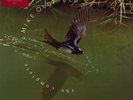 Mike Oldfield - The Complete (VINYL)