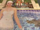 Stone Temple Pilots -Tiny Music Vinyl
