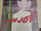 Another Word for Joy by Enjoy (Record, 2016)