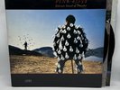 Pink Floyd - Delicate Sound Of Thunder  1988 US 1st Press (NM) Ultrasonic Clean