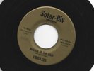 GARAGE NORTHERN SOUL 45 - VIBRATOS - WAKING IN THE RAIN -HEAR - 1963 SOTAR-BIV