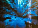 Hum - Downward Is Heavenward (2xLP, Album, RE) (Mint (M)) - 3985029976