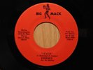 Essence Soul Detroit 45 Fever bw Instrumental on Big Mack