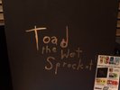 TOAD THE WET SPROCKET NEW 5LP COLORED VINYL BOX SET W/HYPE STICKER #1181/1500