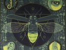 Jerry Cantrell Brighten Electric Glow-In-The-Dark (Vinyl) (US IMPORT)