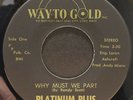 Modern Soul 45 PLATINUM PLUS Why Must We Part / So Simple WAY TO GOLD listen