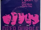 Classic Rock 45 DEEP PURPLE  Hush / One More Rainy Day w/ PICTURE SLEEVE