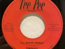 WI Garage Psych 45 TORQUAYS I'll Never Forget / Even The Wind TEE PEE listen