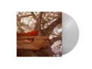 The Backseat Lovers Waiting to Spill (Vinyl) (UK IMPORT)