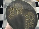 Tool Stinkfist 10” Promo Picture Disc Vinyl