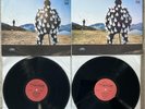PINK FLOYD Delicate Sound of Thunder No1 & No 2 MELODIYA - BUY FROM A PRO