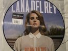 RARE MINT UNPLAYED Lana Del Rey Born To Die Picture Disc Vinyl RECORD LP