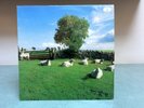 KLF Chill Out Vinyl JAMS – LP5 - Original pressing from 1990
