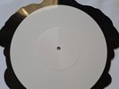 Testament Brotherhood of The Snake Shaped Picture Disc Testpressing